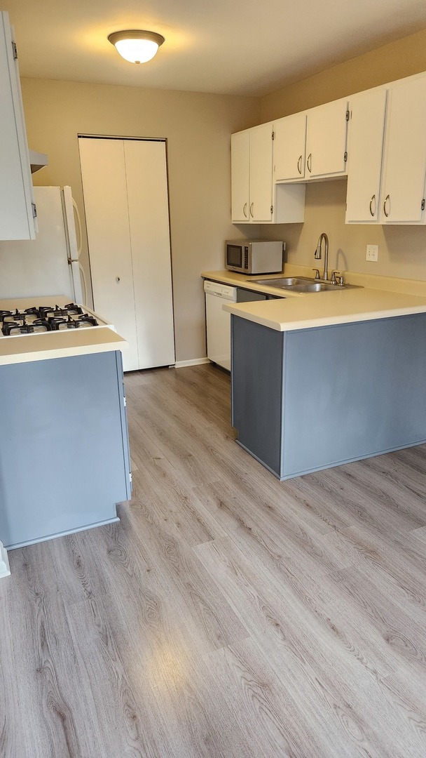 324 Mulberry Court #C2, Bartlett, IL 60103