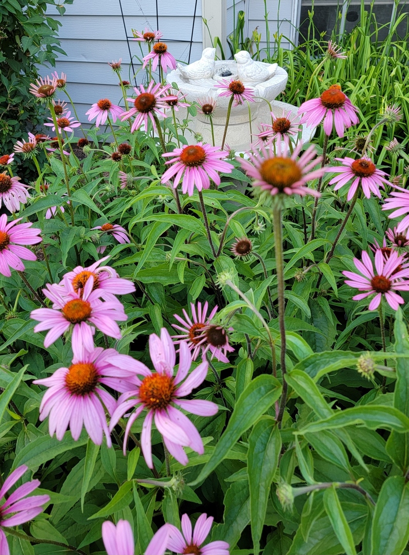 1447 Club Drive #A, Glendale Heights, IL 60139