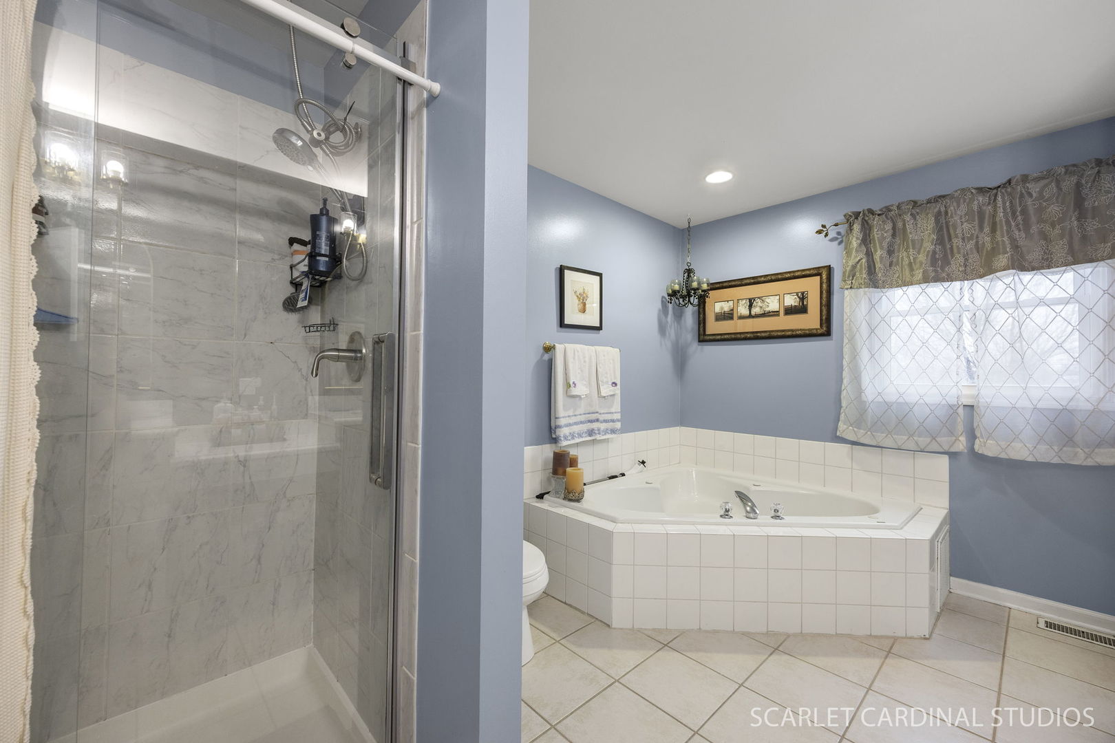 2836 Fairhauser Court, Naperville, IL 60564