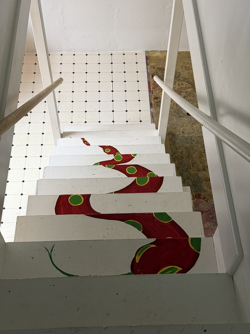 29W026 103rd Street, Naperville, IL 60564