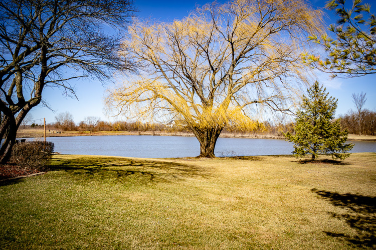 65 Aegina Court, Tinley Park, IL 60477