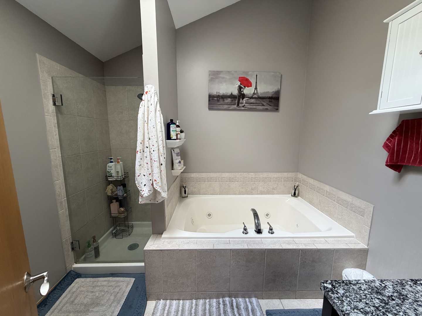 19839 Silverside Drive, Tinley Park, IL 60487