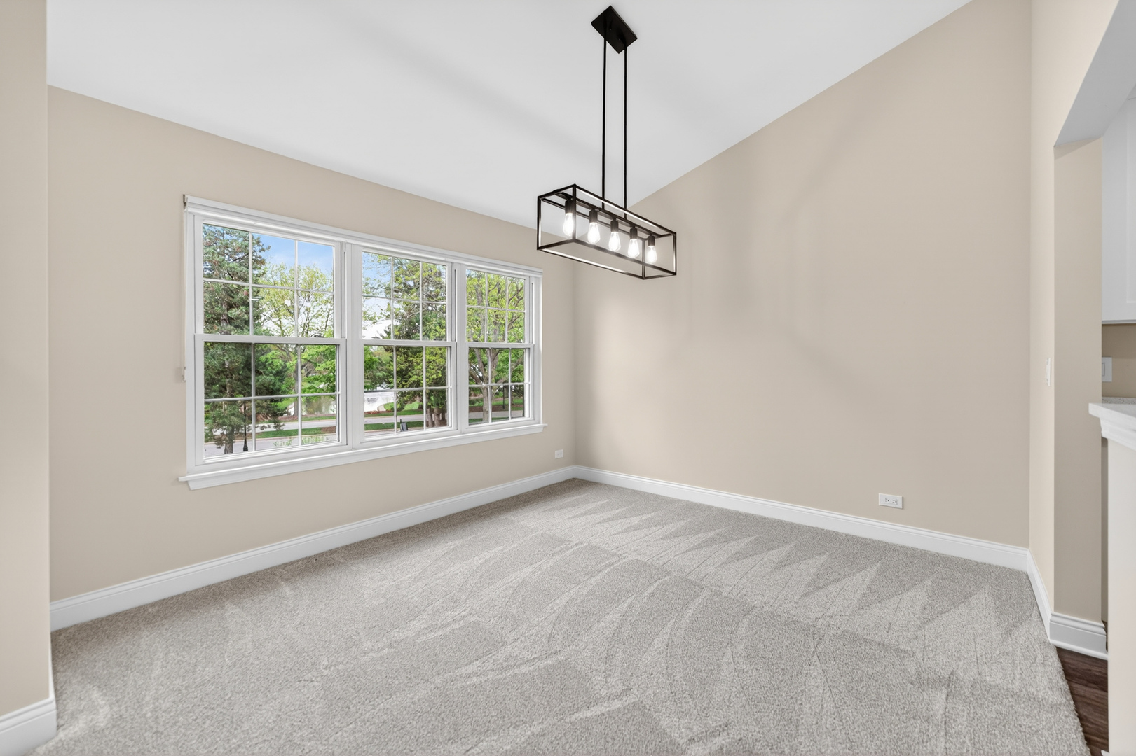 802 Butternut Lane #C, Mount Prospect, IL 60056