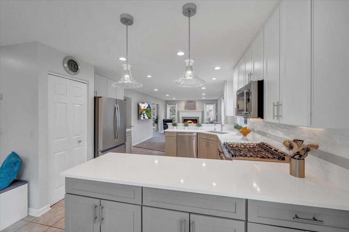 1355 Beckett Lane, Schaumburg, IL 60173