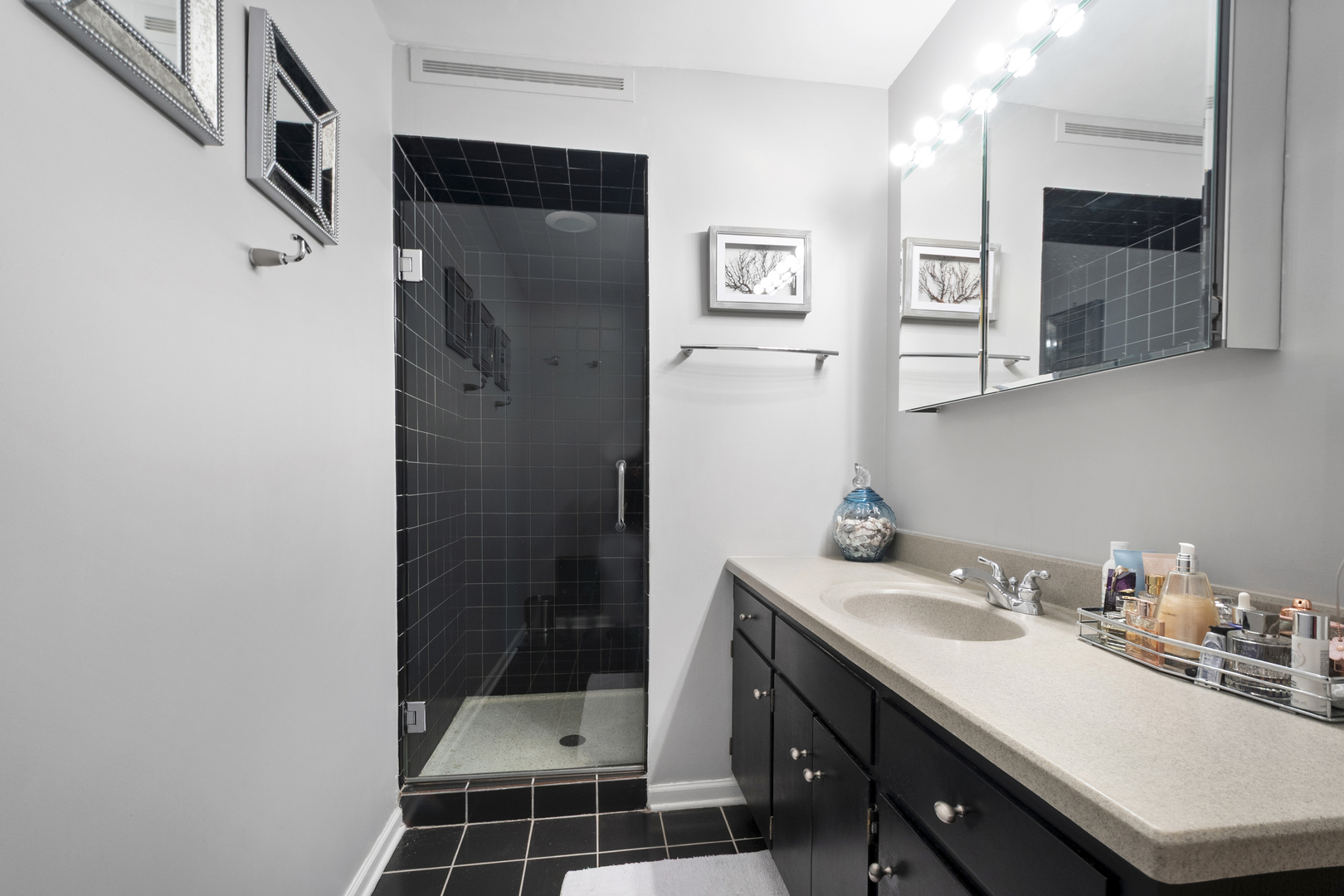 44 Park Lane #223, Park Ridge, IL 60068