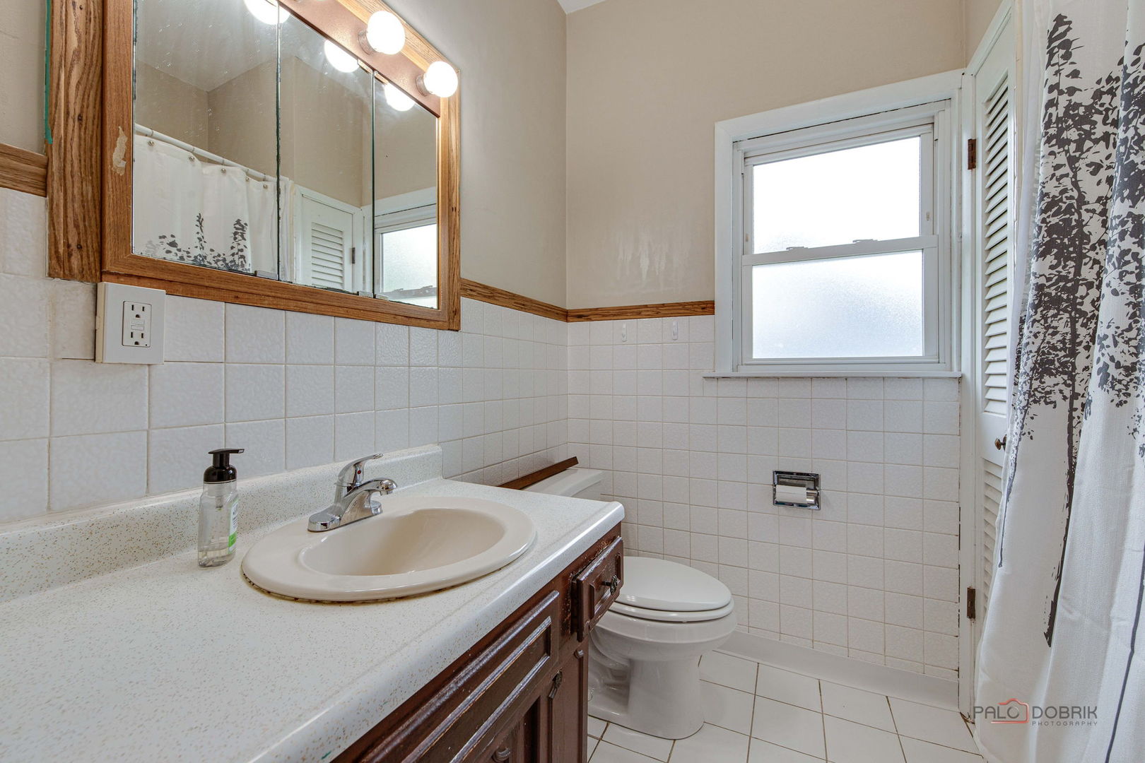1027 St John Street, Elgin, IL 60120