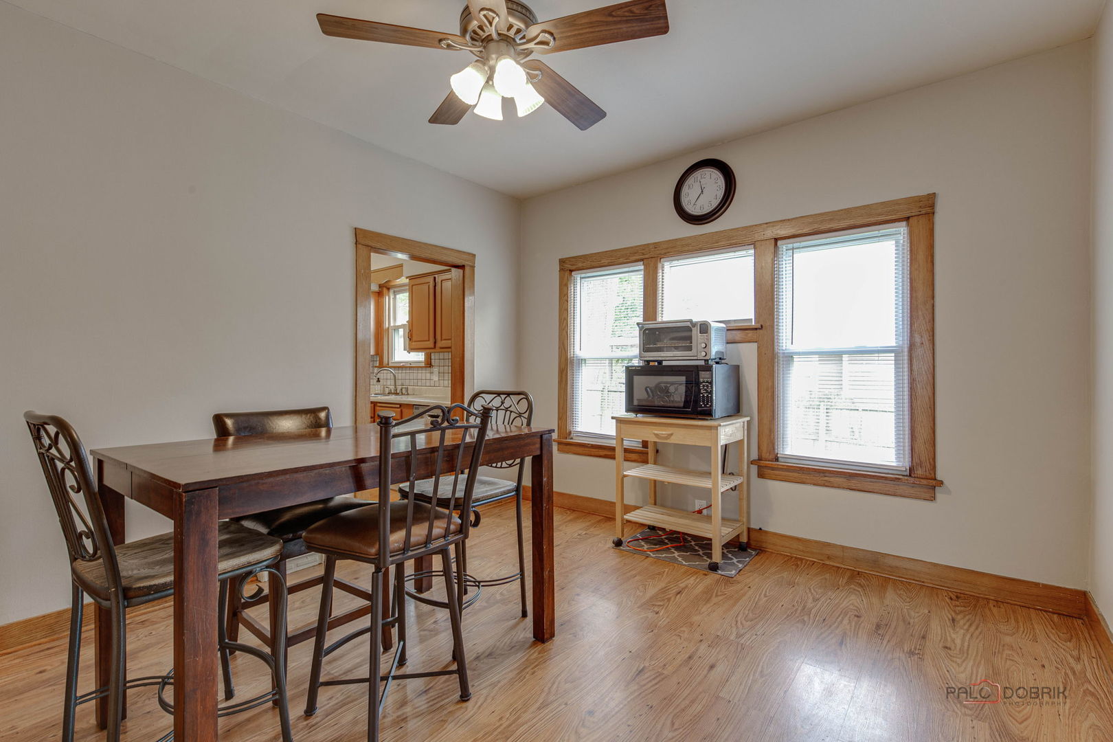 1027 St John Street, Elgin, IL 60120