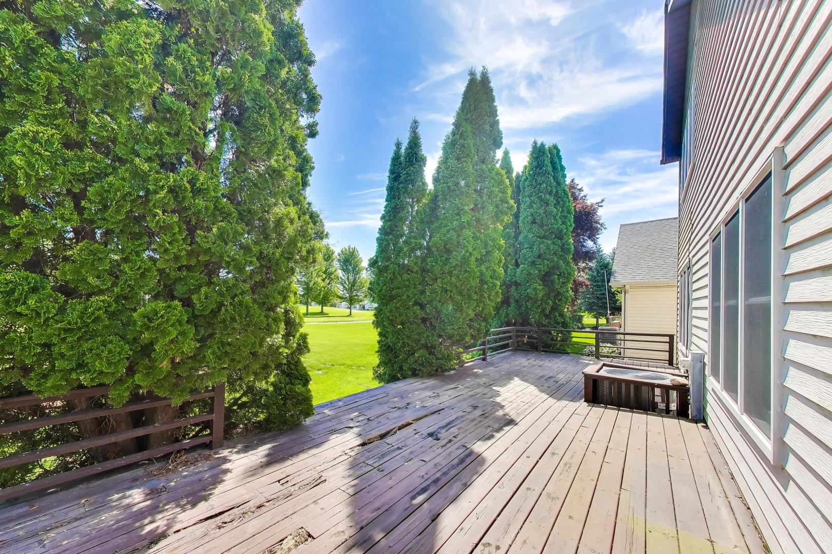 21040 W Hazelnut Lane, Plainfield, IL 60544