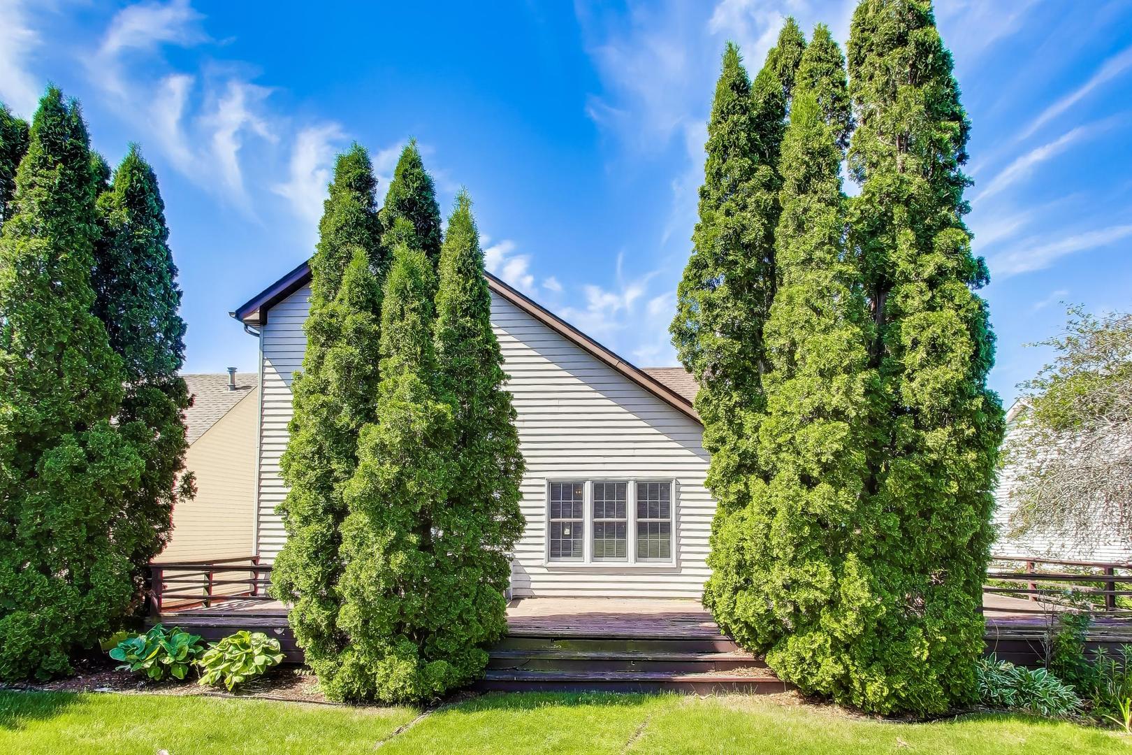 21040 W Hazelnut Lane, Plainfield, IL 60544