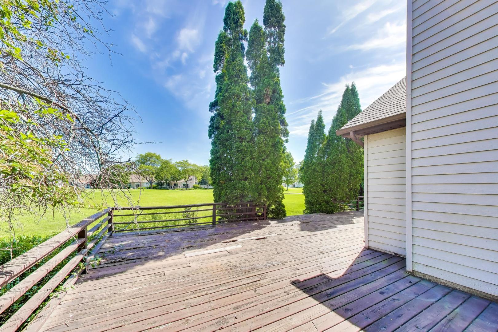 21040 W Hazelnut Lane, Plainfield, IL 60544