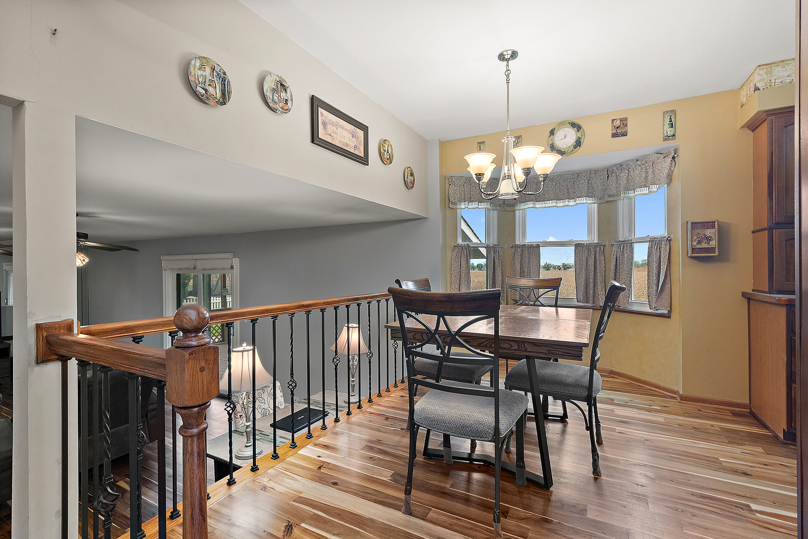 20409 S Hunter Drive, Frankfort, IL 60423