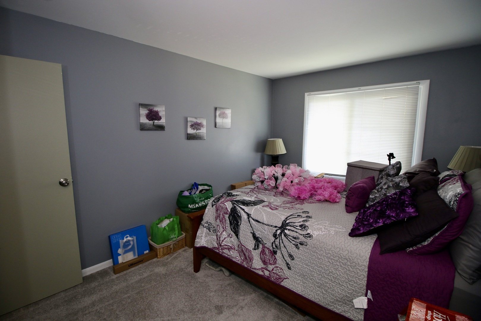 3012 Roberts Drive #5, Woodridge, IL 60517