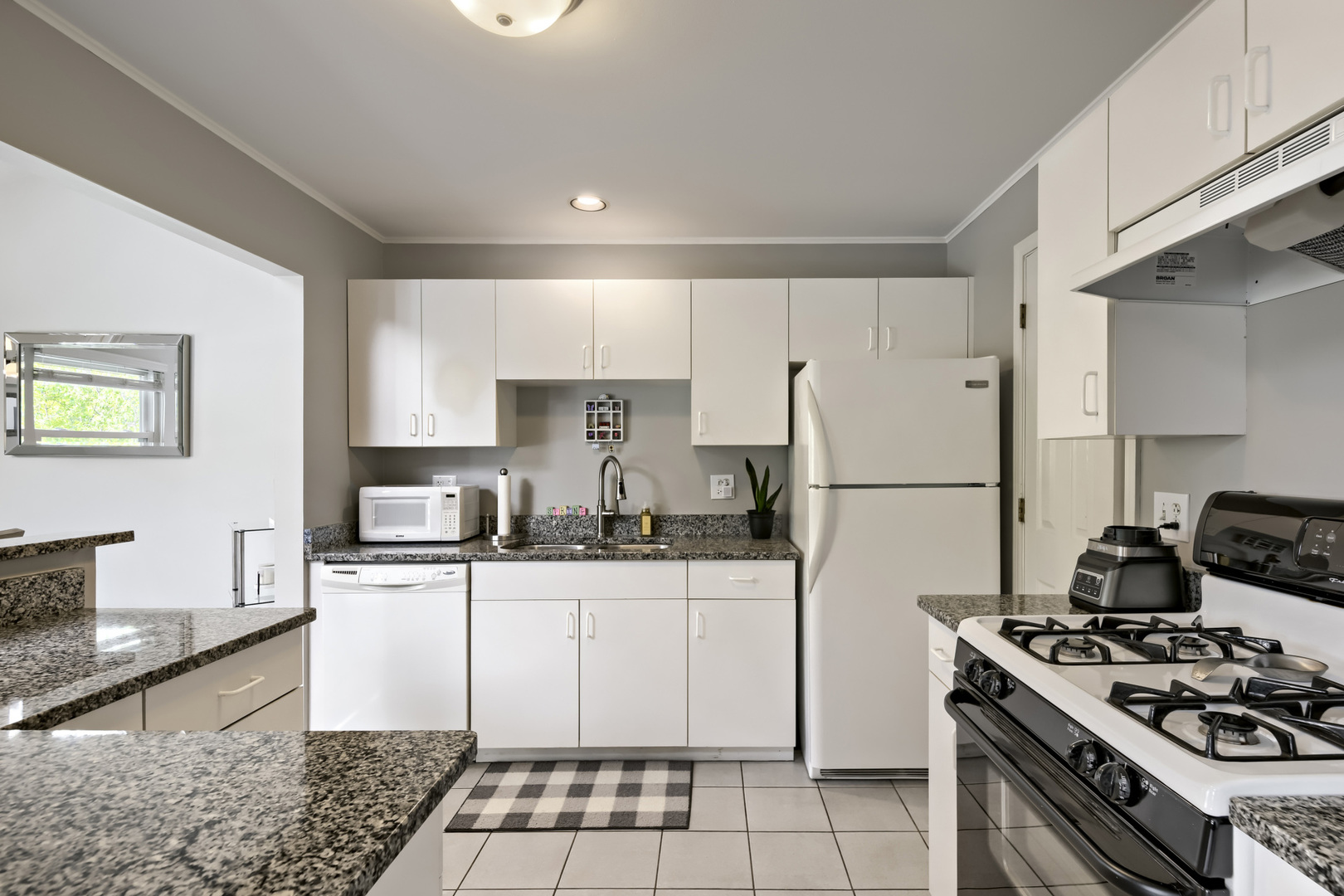 41 Ashburn Court #X2, Schaumburg, IL 60193