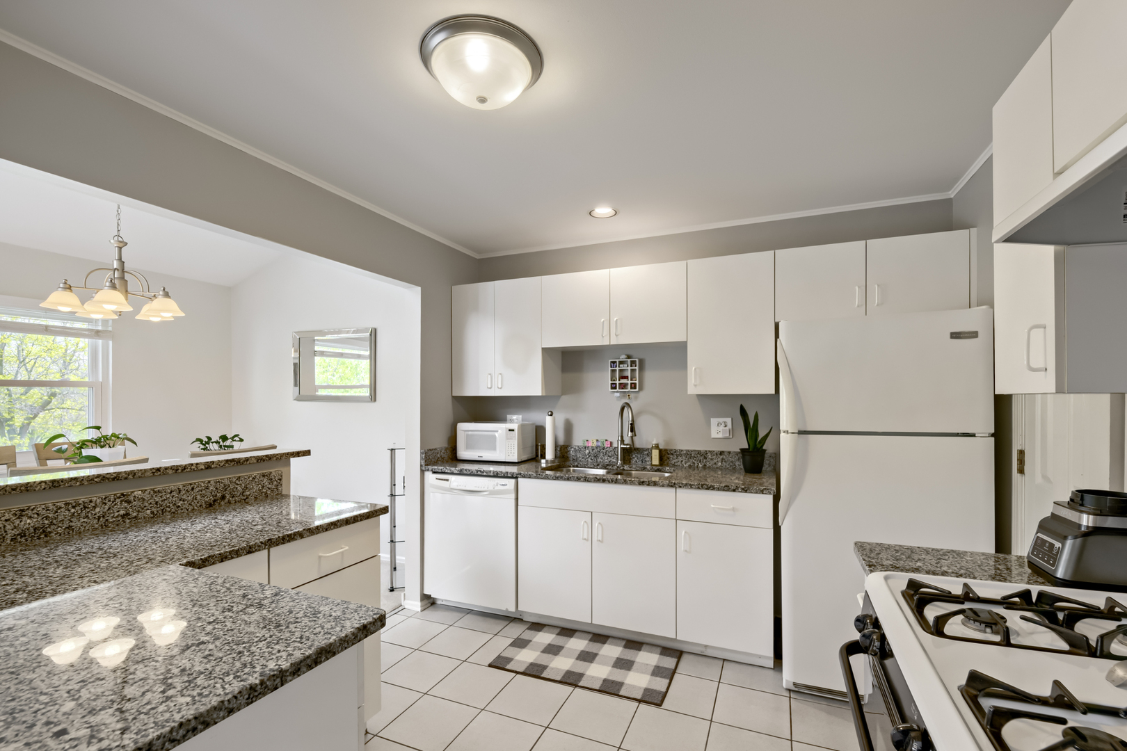 41 Ashburn Court #X2, Schaumburg, IL 60193
