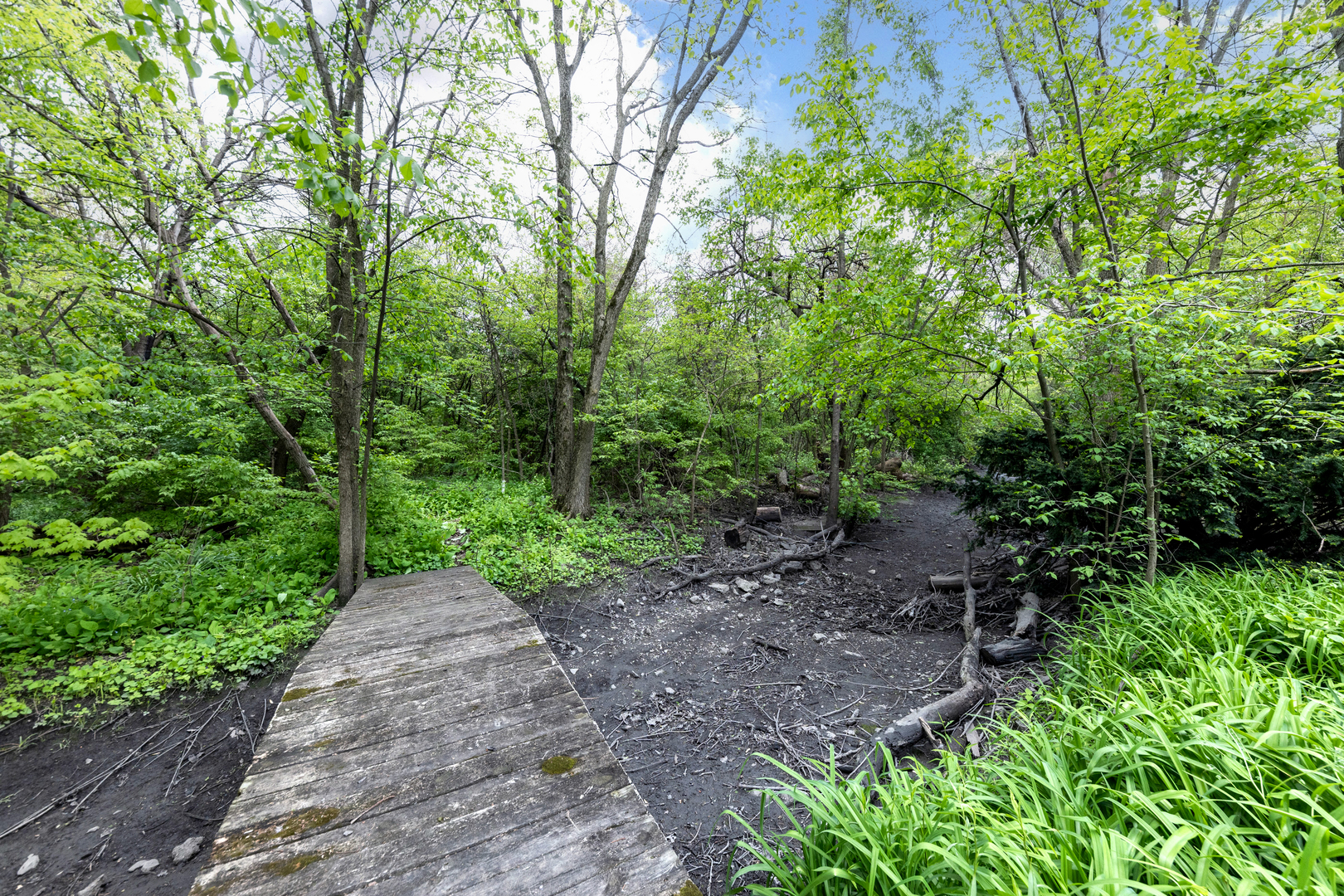5419 Grand Avenue, Downers Grove, IL 60515