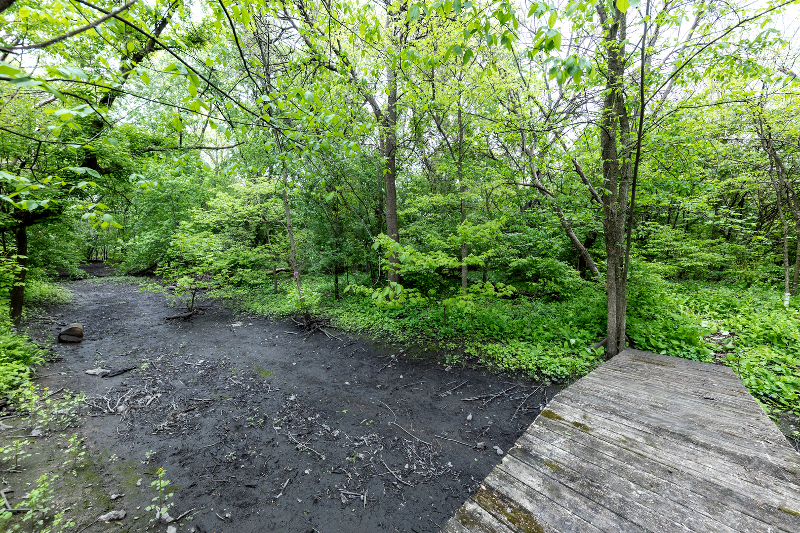 5419 Grand Avenue, Downers Grove, IL 60515