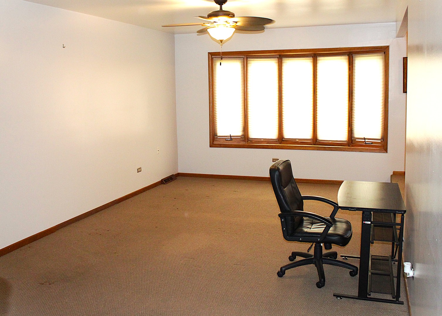 10013 S Menard Avenue, Oak Lawn, IL 60453