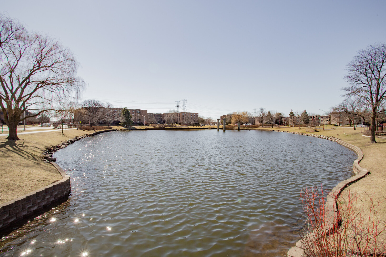 1101 S Hunt Club Drive #403, Mount Prospect, IL 60056
