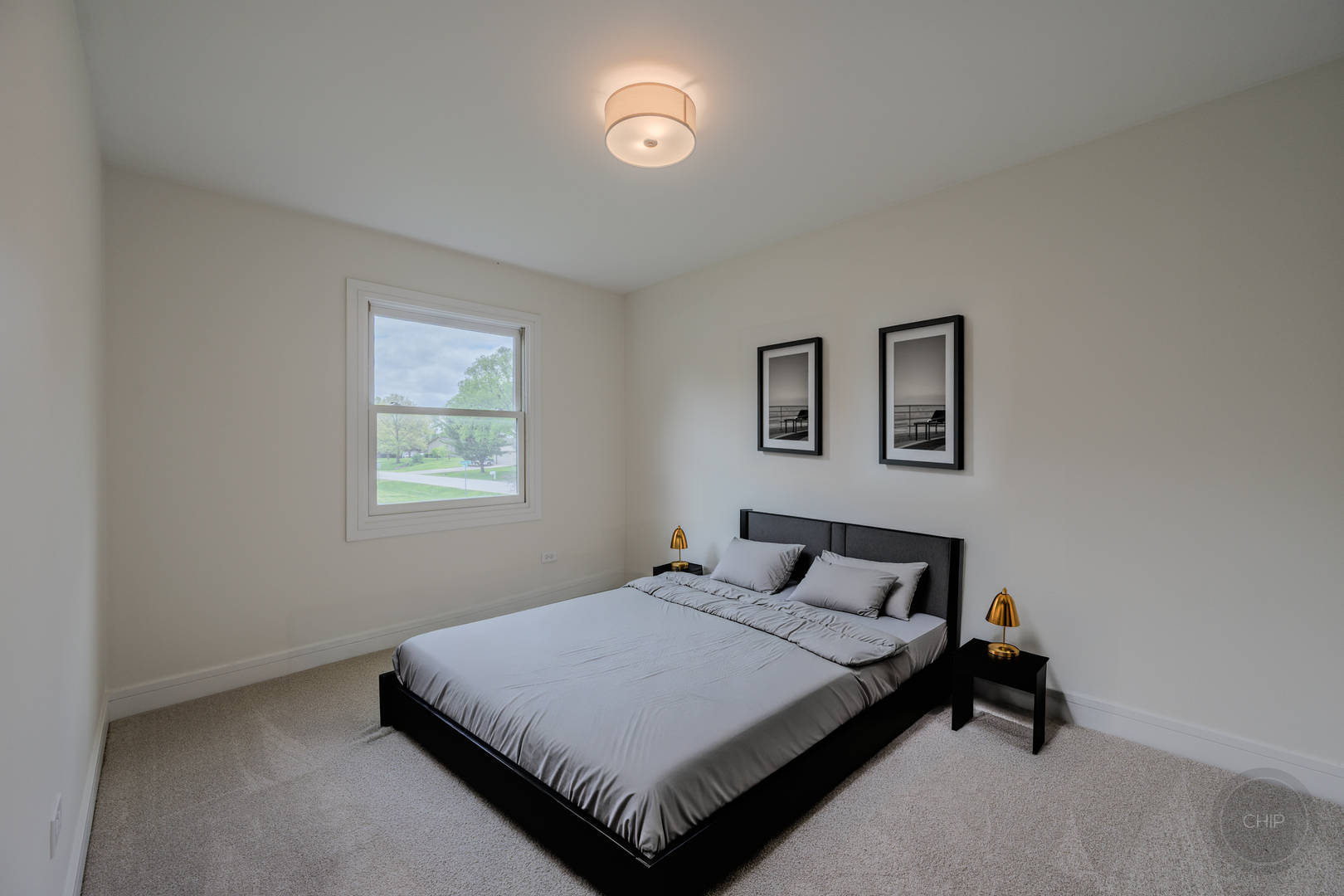 24340 Davids Court, Naperville, IL 60564