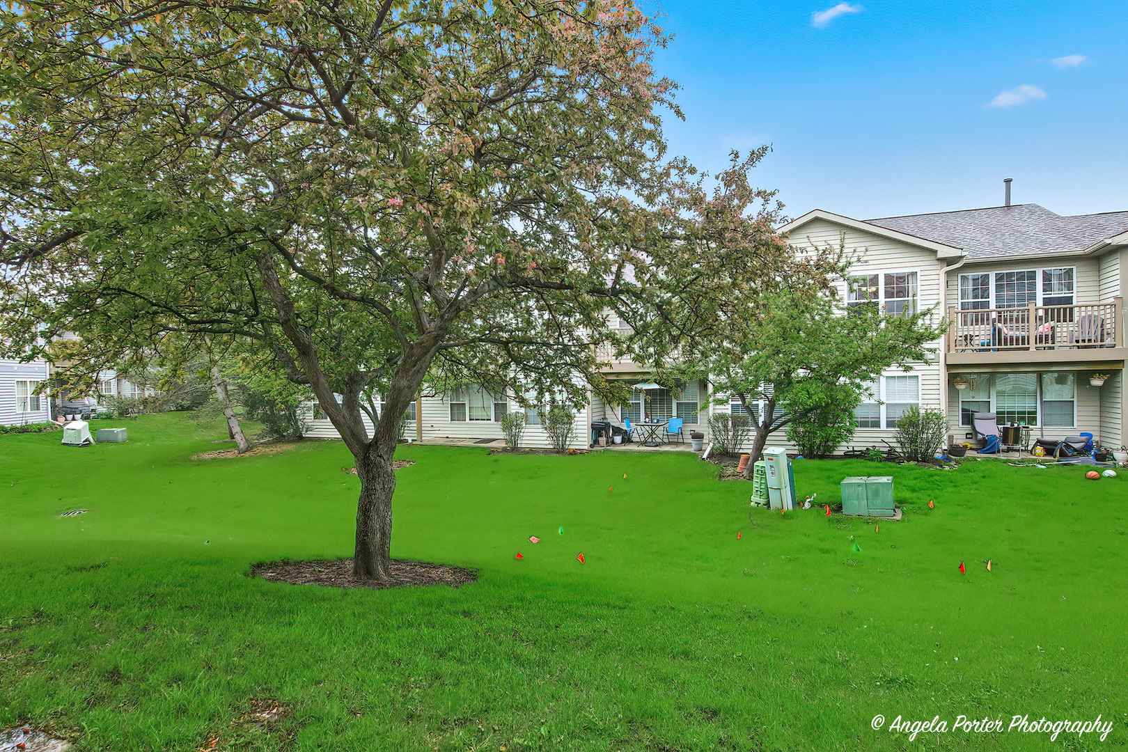 1152 N Red Oak Circle #1, Round Lake Beach, IL 60073