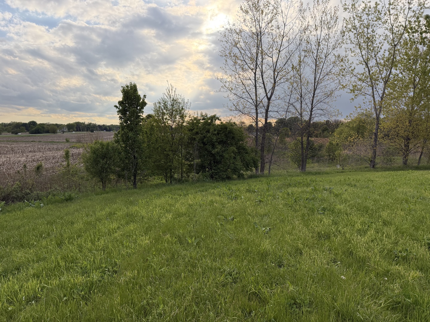 18555 S Marilynn Court, Mokena, IL 60448