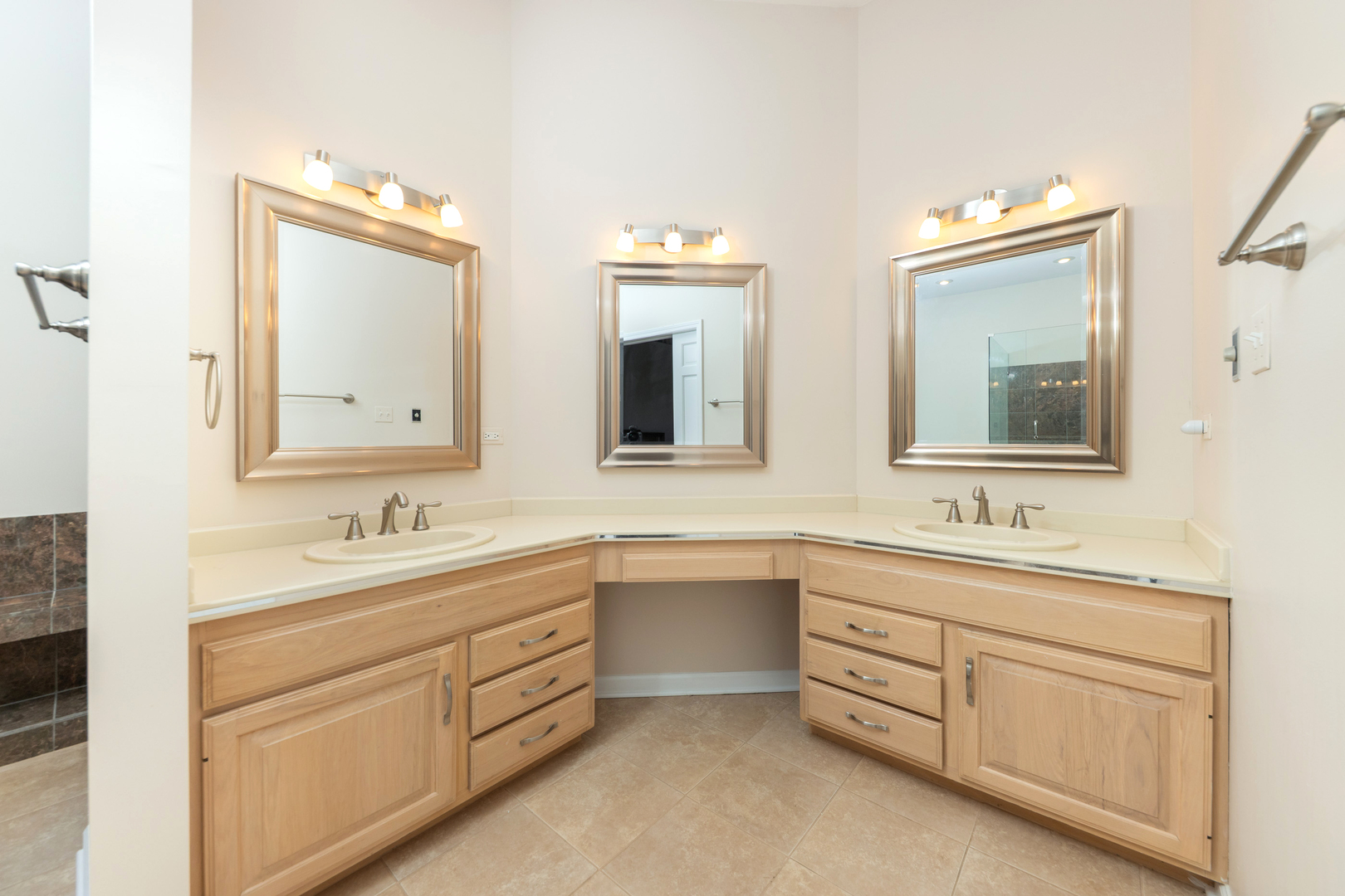 1437 Ambleside Circle, Naperville, IL 60540