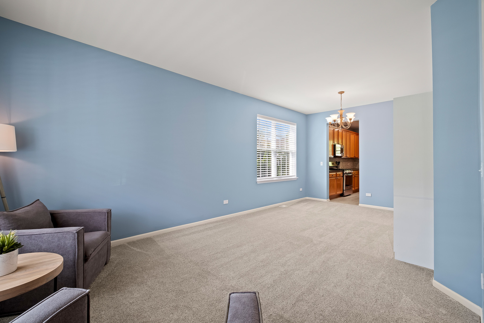 779 Lenox Avenue, Bolingbrook, IL 60490