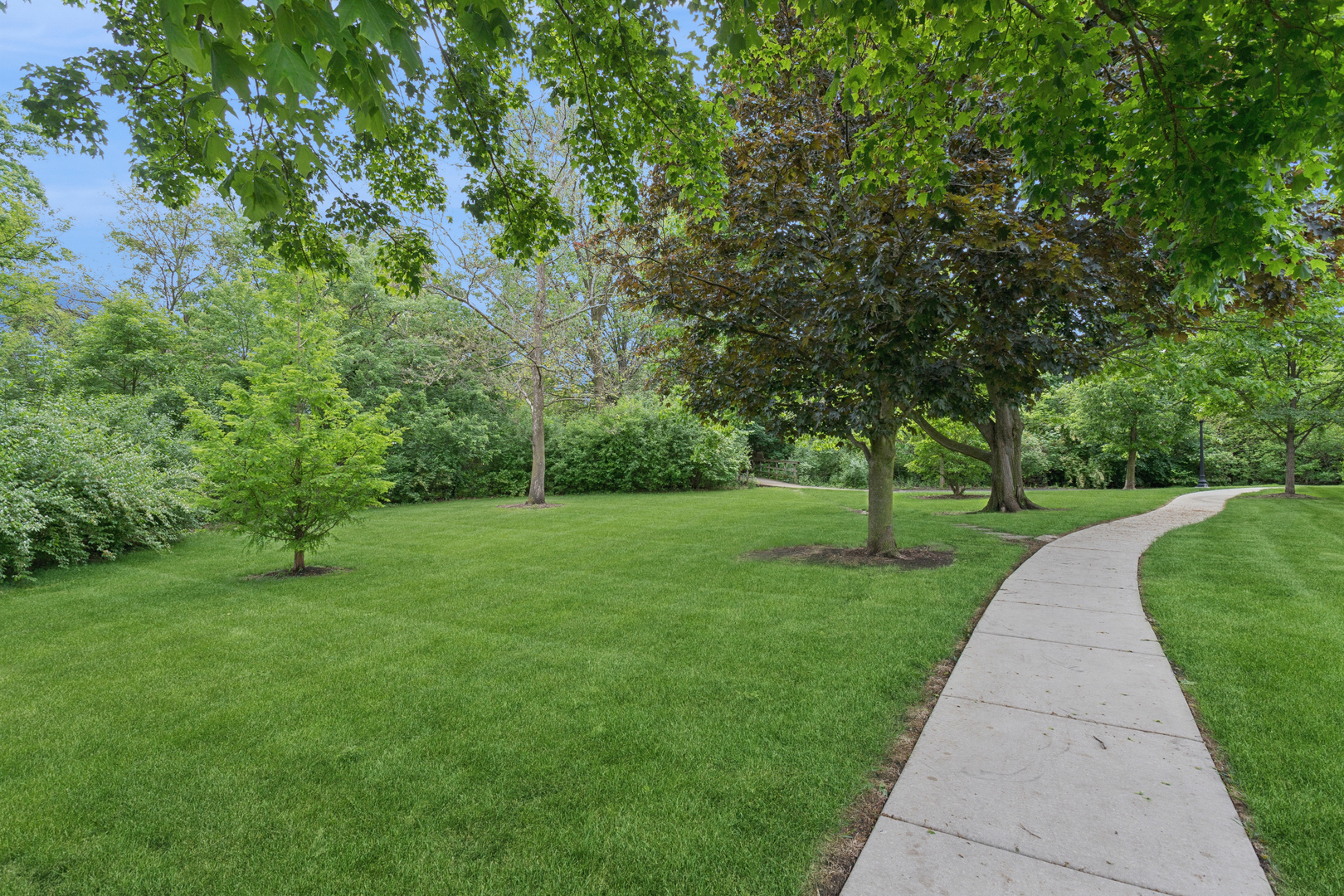 19 Wintergreen Court, Woodridge, IL 60517