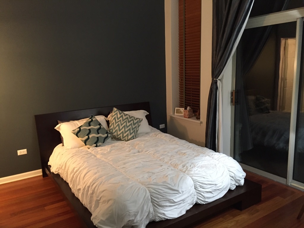 1919 S Michigan Avenue #202, Chicago, IL 60616