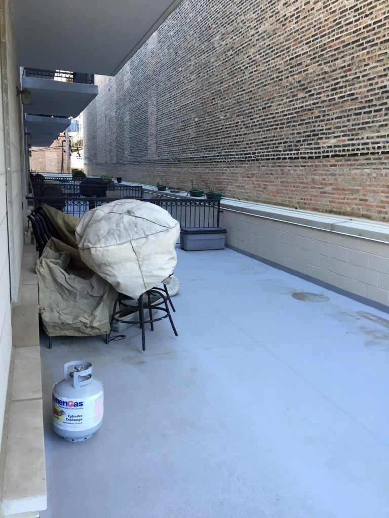 1919 S Michigan Avenue #202, Chicago, IL 60616