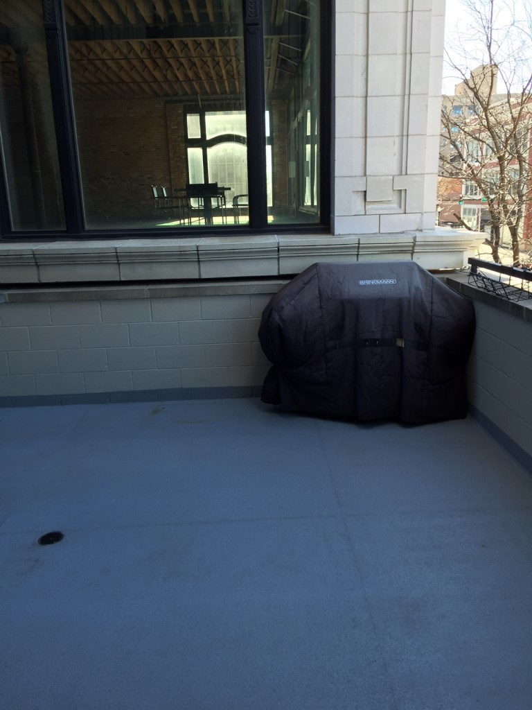 1919 S Michigan Avenue #202, Chicago, IL 60616