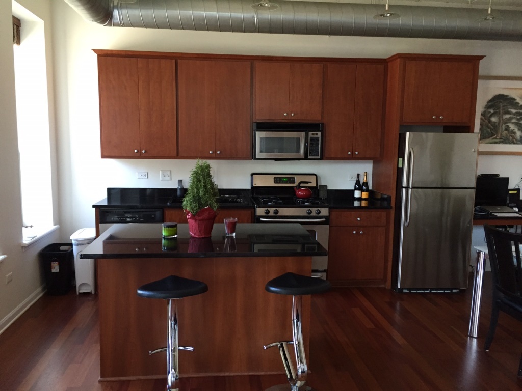 1919 S Michigan Avenue #202, Chicago, IL 60616