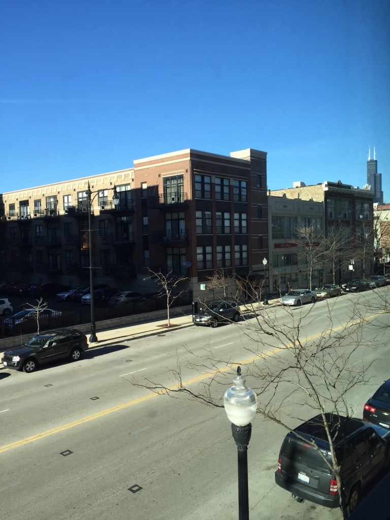 1919 S Michigan Avenue #202, Chicago, IL 60616