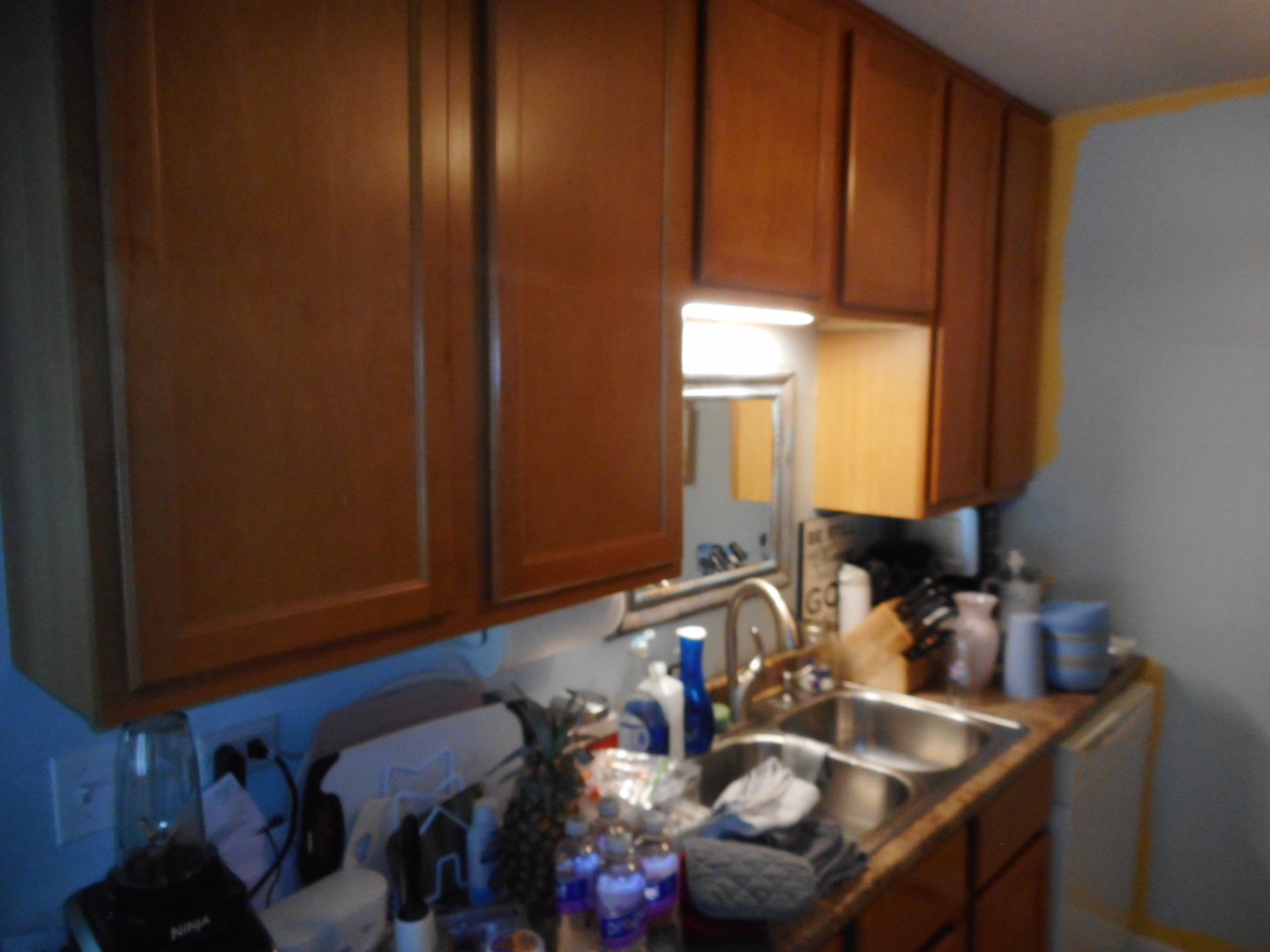 355 Wilmington Drive #D1, Bartlett, IL 60103