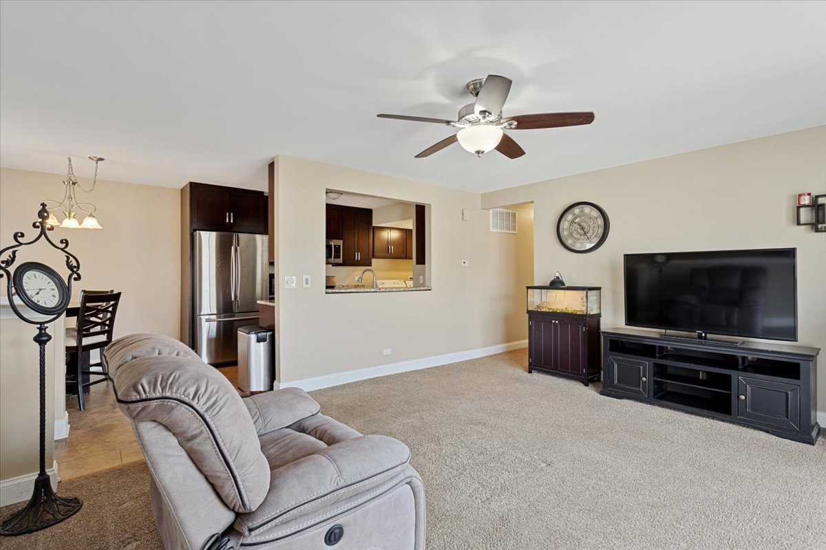 227 Elkhorn Court #D, Bolingbrook, IL 60440