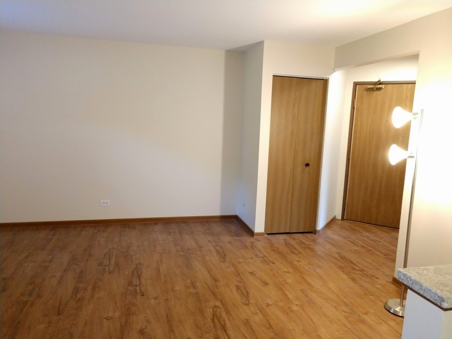 15 Gant Circle #C, Streamwood, IL 60107