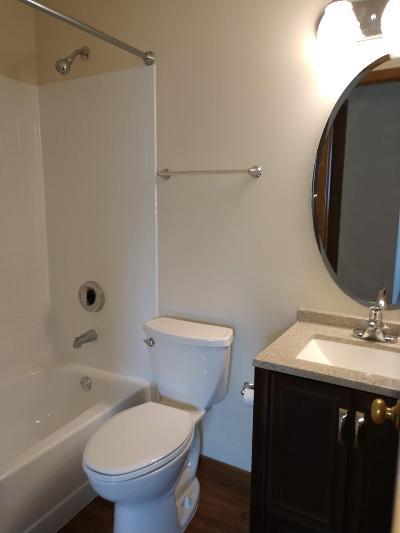 15 Gant Circle #C, Streamwood, IL 60107