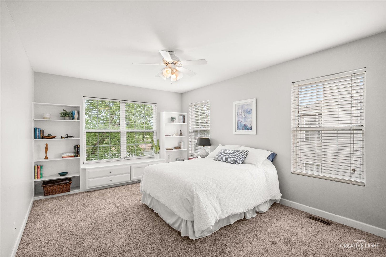 24019 W Pear Tree Circle, Plainfield, IL 60585