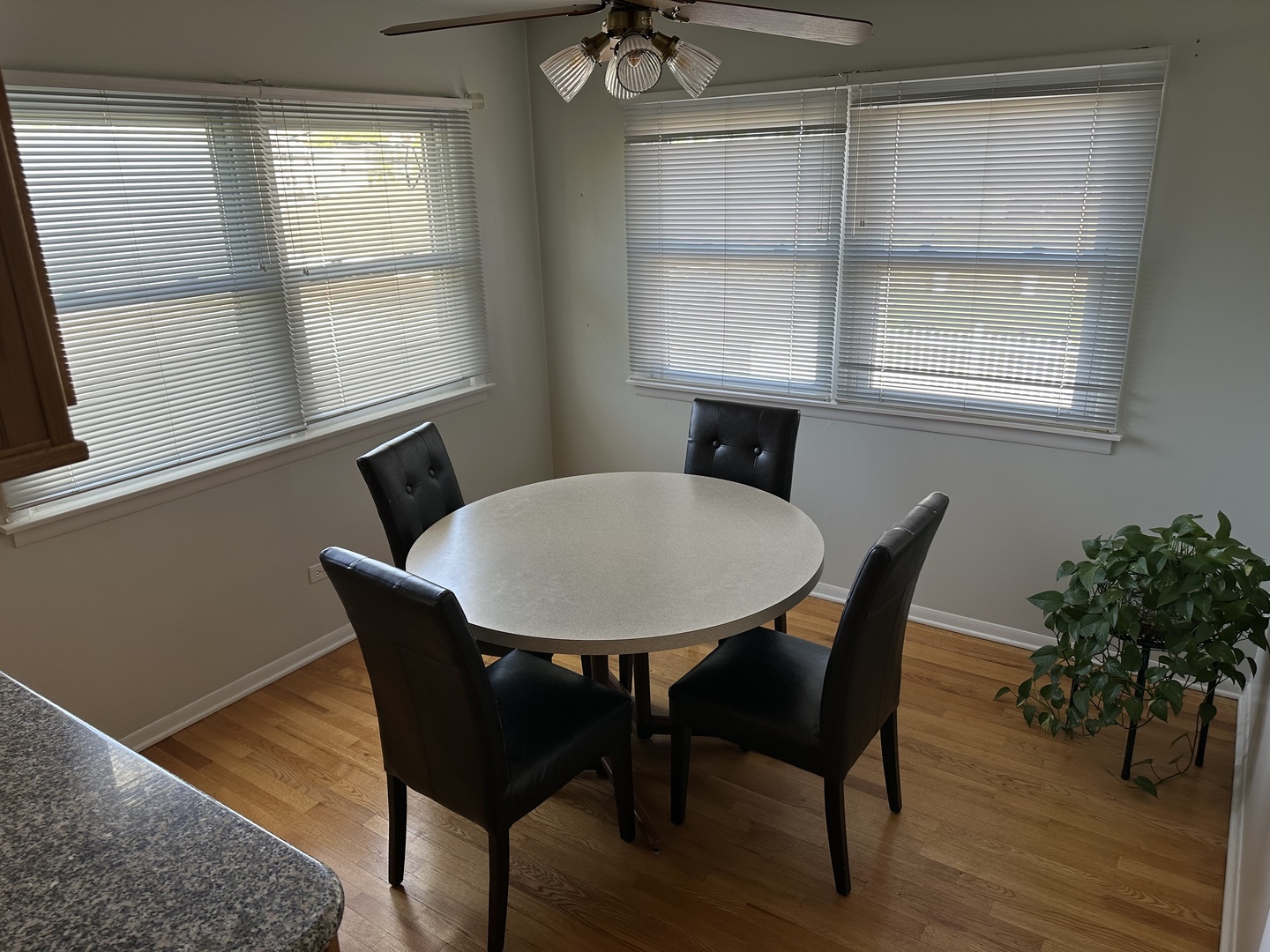 8154 W Lyons Street, Niles, IL 60714