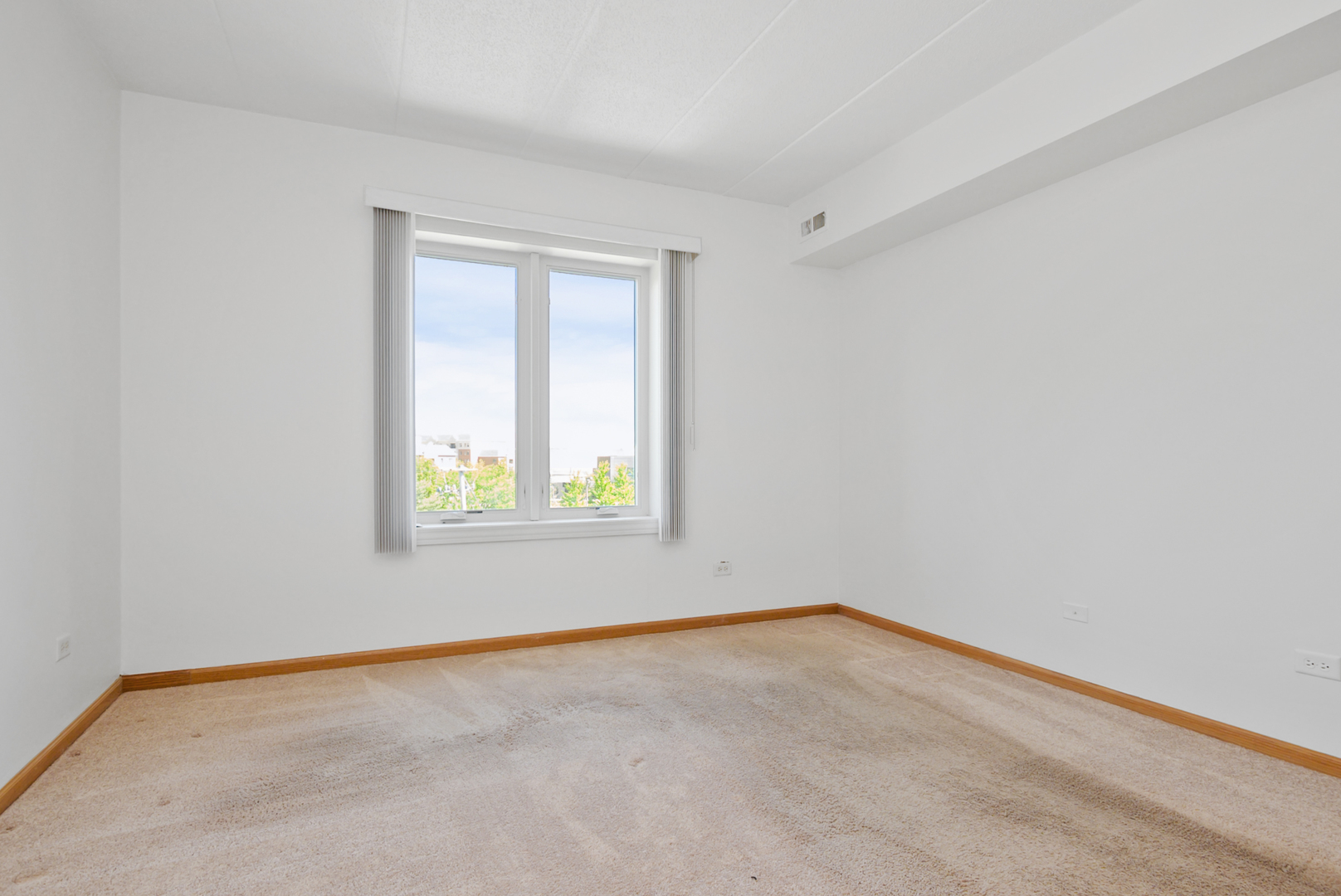 201 W Brush Hill Road #305, Elmhurst, IL 60126