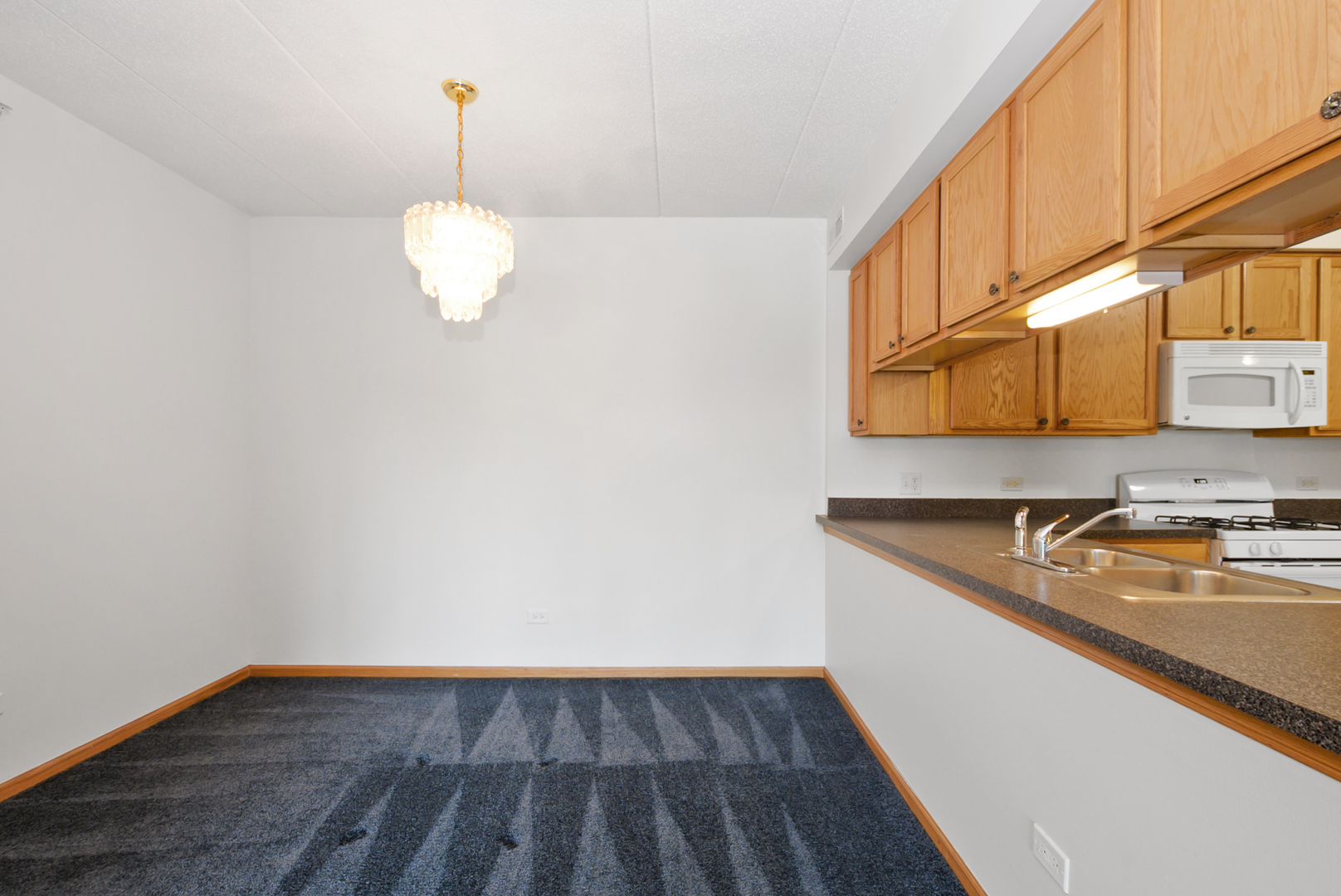 201 W Brush Hill Road #305, Elmhurst, IL 60126