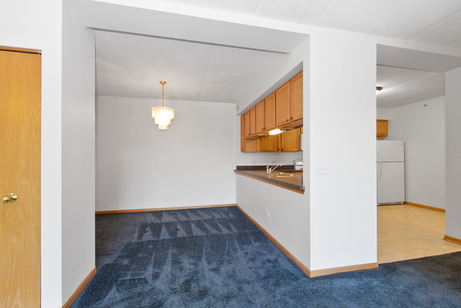 201 W Brush Hill Road #305, Elmhurst, IL 60126