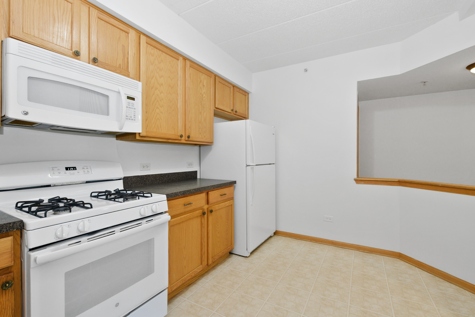 201 W Brush Hill Road #305, Elmhurst, IL 60126