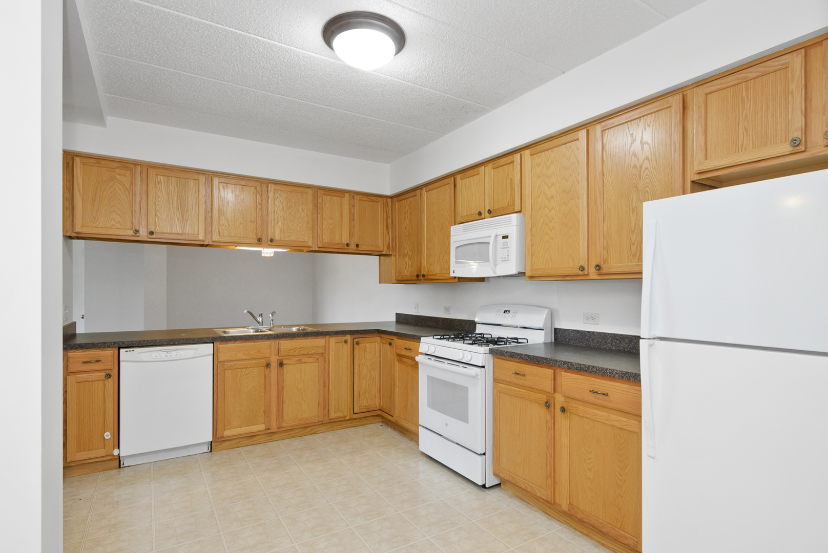 201 W Brush Hill Road #305, Elmhurst, IL 60126