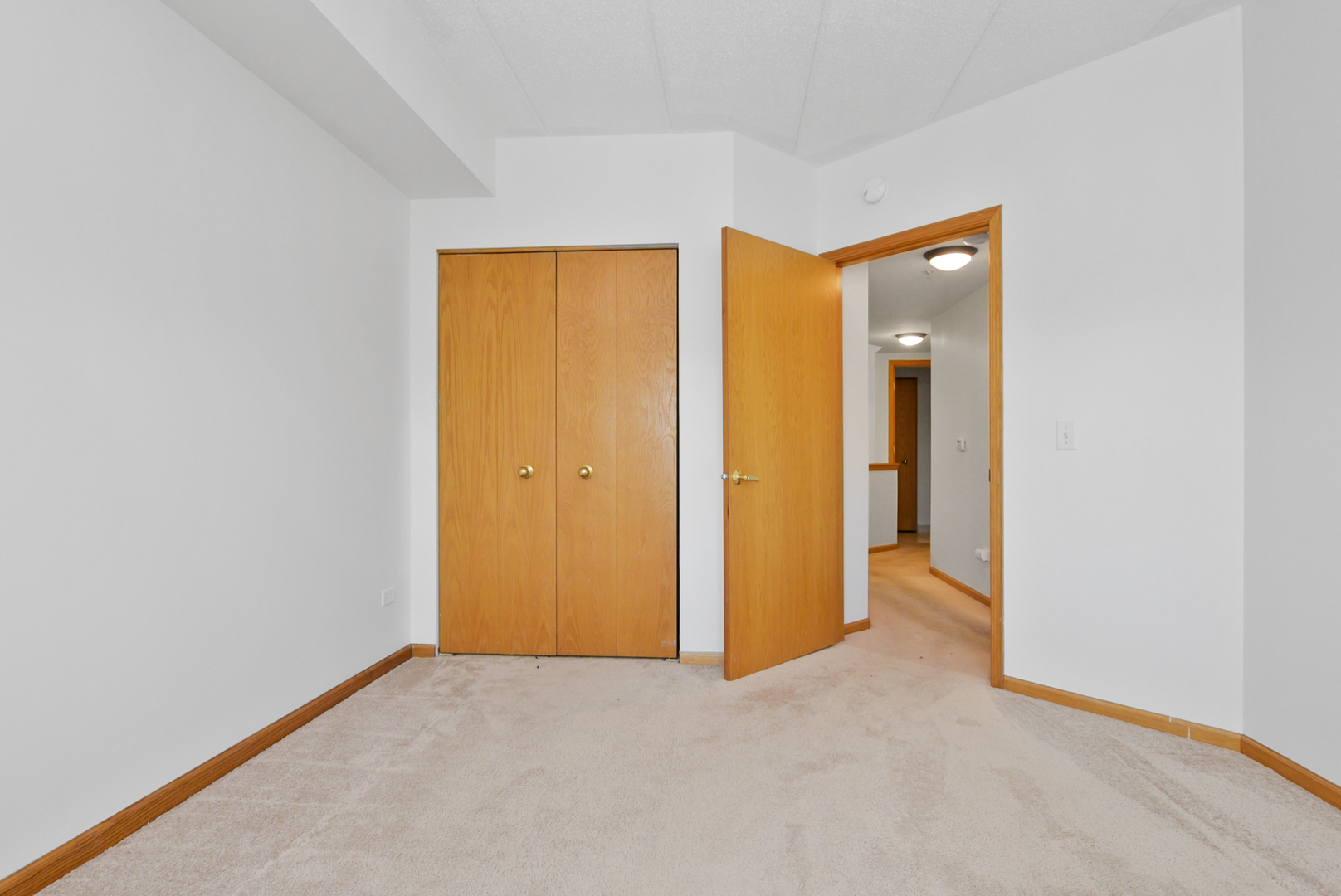 201 W Brush Hill Road #305, Elmhurst, IL 60126