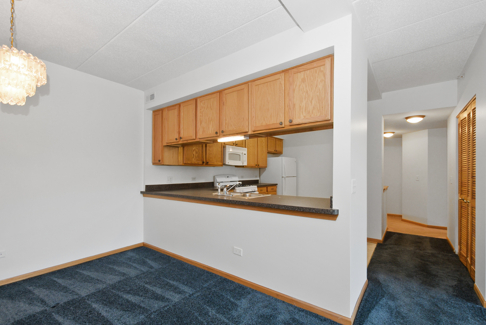 201 W Brush Hill Road #305, Elmhurst, IL 60126