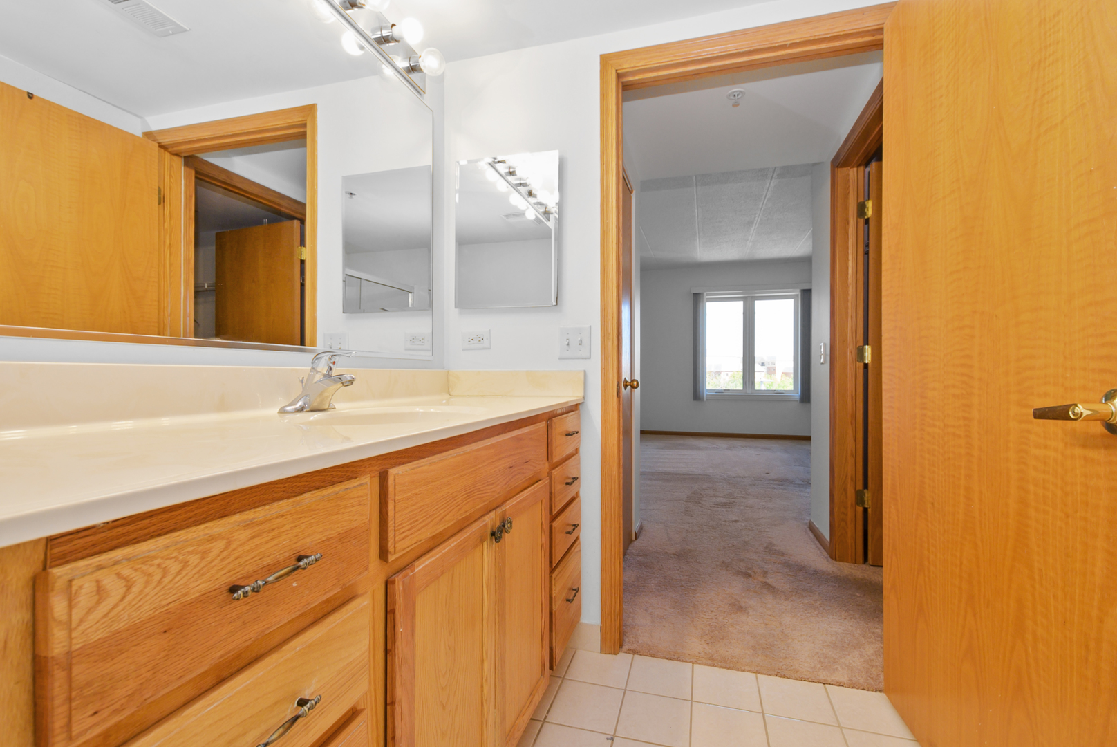 201 W Brush Hill Road #305, Elmhurst, IL 60126