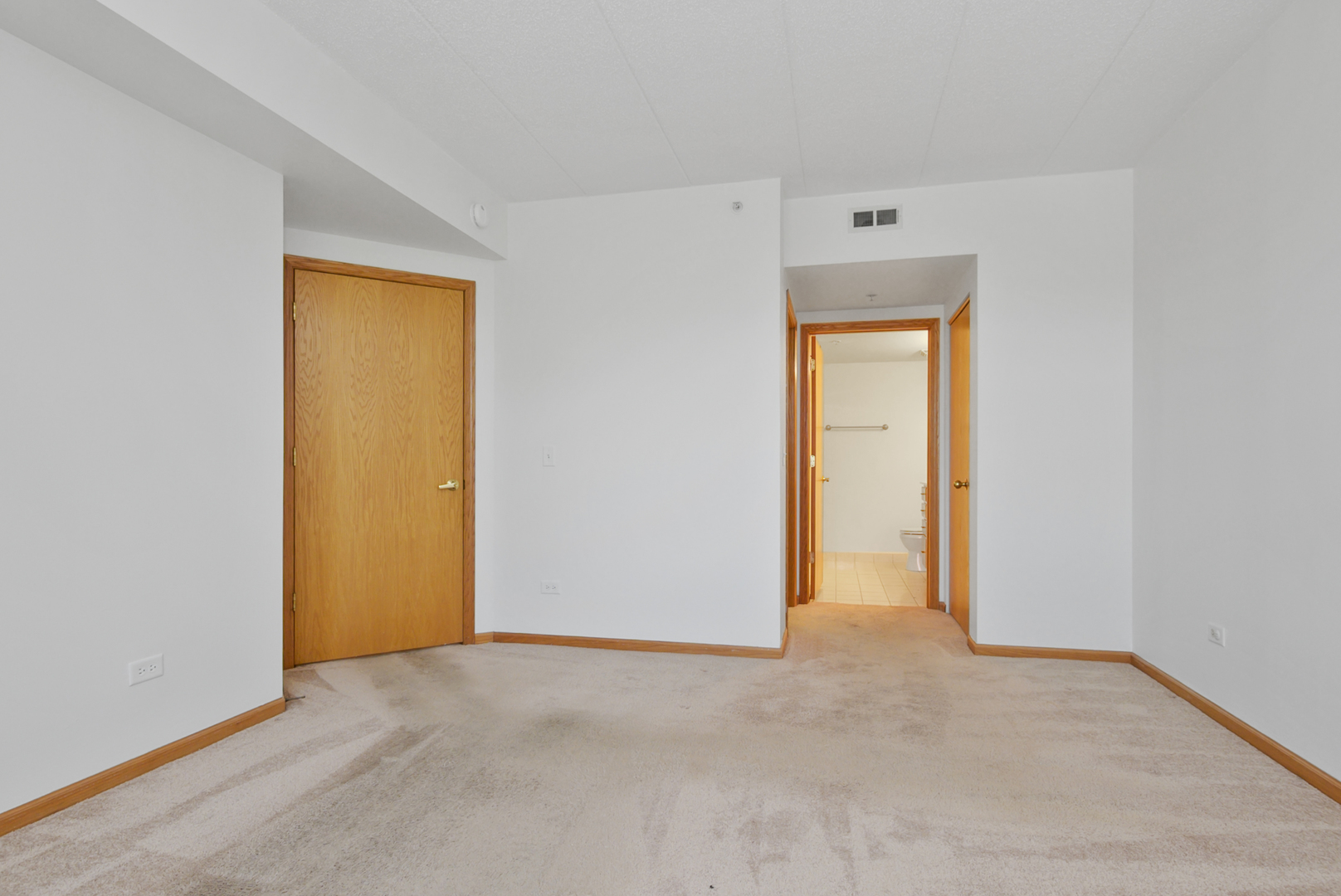 201 W Brush Hill Road #305, Elmhurst, IL 60126