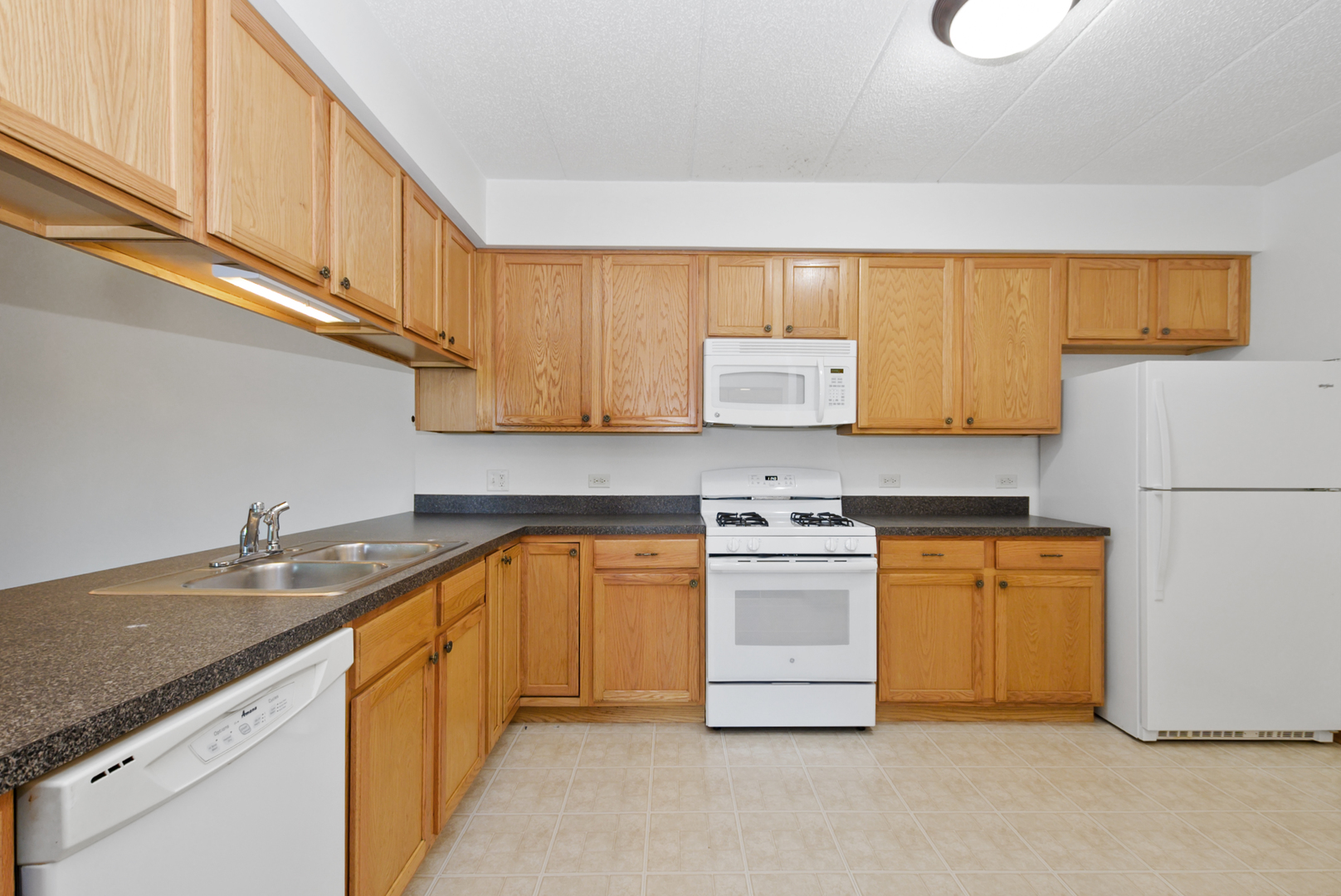 201 W Brush Hill Road #305, Elmhurst, IL 60126