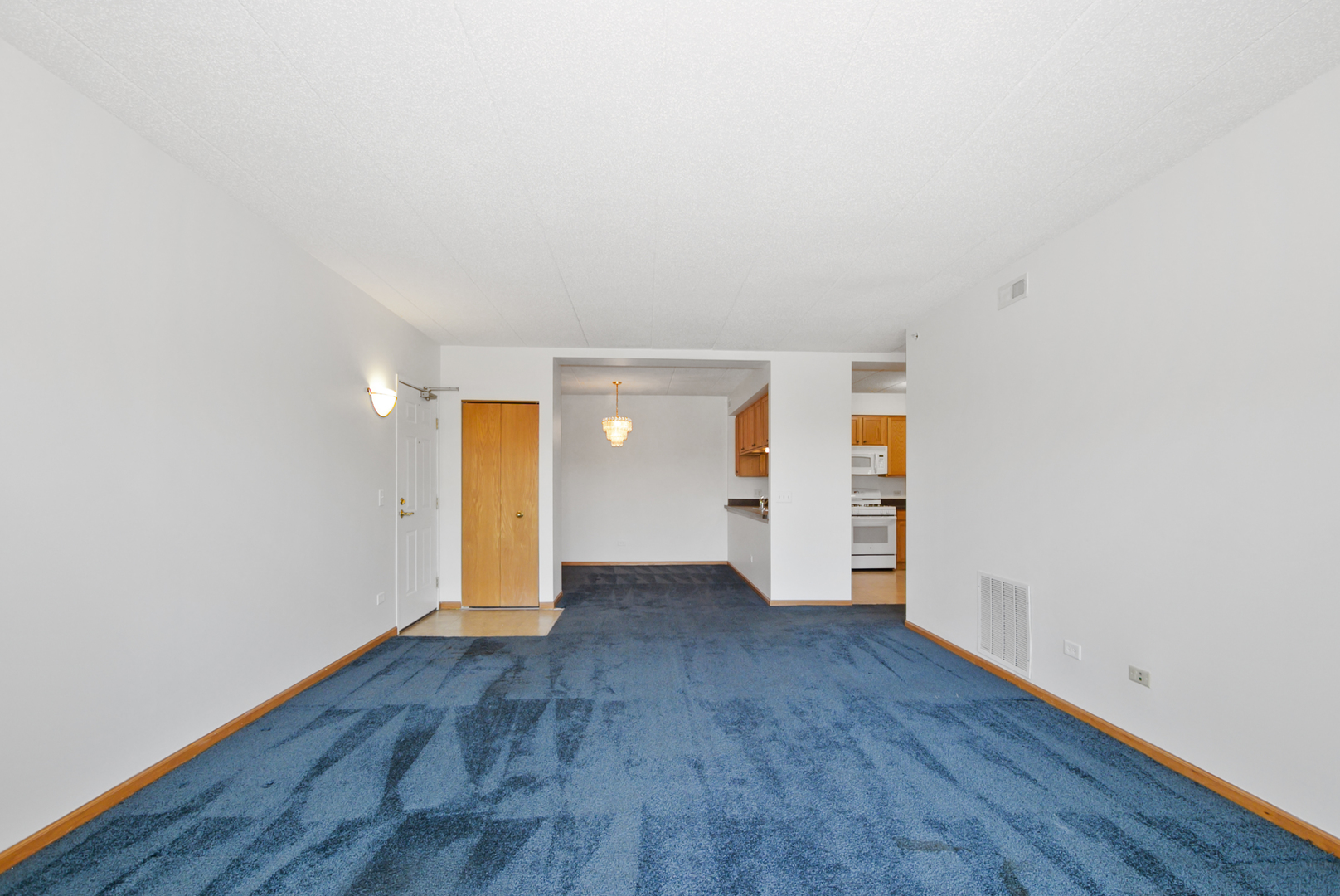 201 W Brush Hill Road #305, Elmhurst, IL 60126